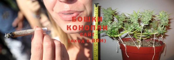 молекула духа Беломорск
