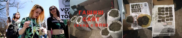 твердый Бородино