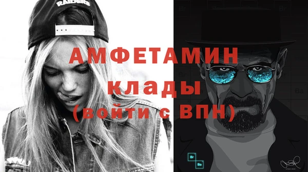 твердый Бородино